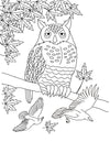 inkpaperfable - "Imagine A Maple Tree" Coloring Book