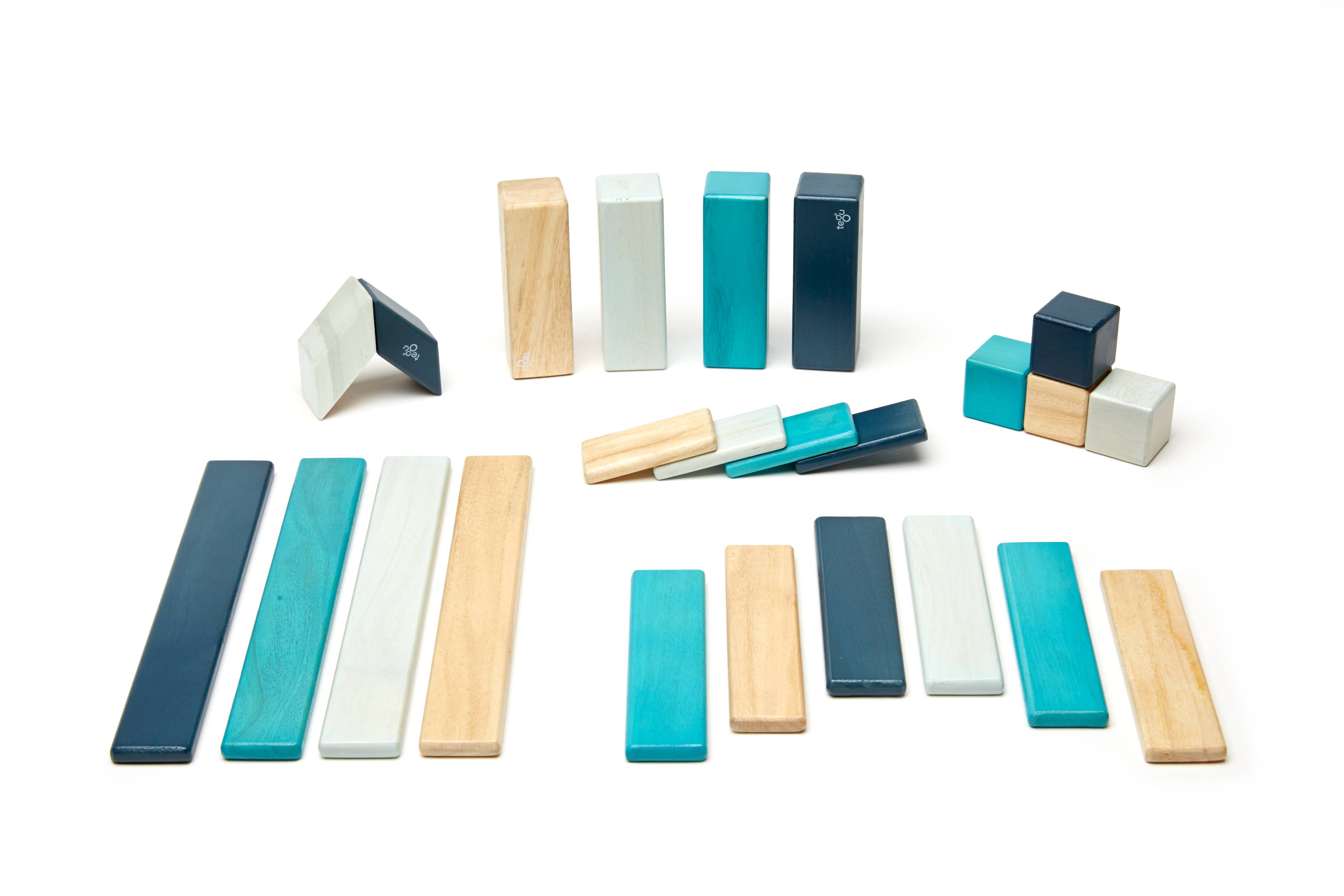 Tegu - 24 Piece Magnetic Wooden Block Set
