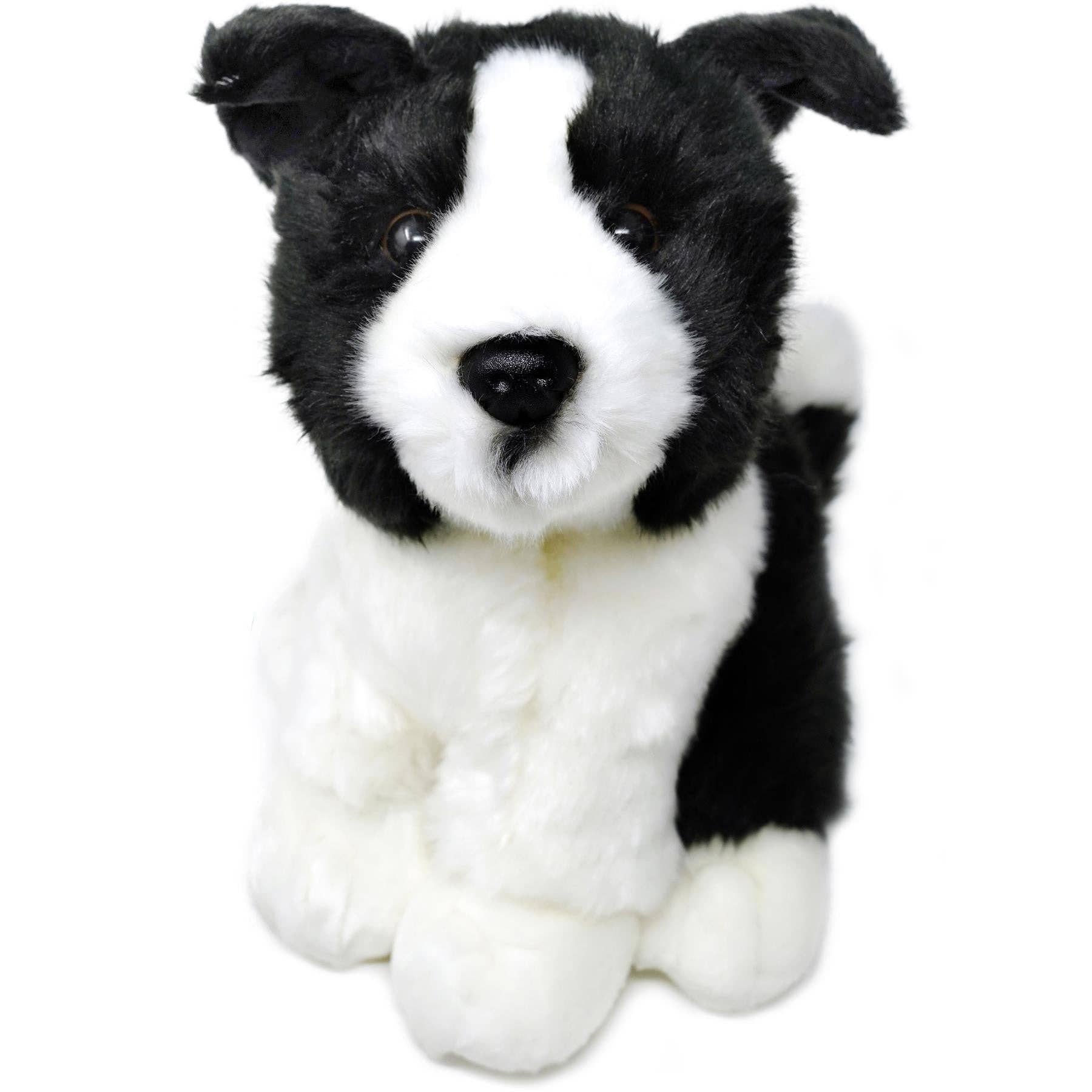 Sweet Border Collie, 11 Inch Stuffed Animal Plush
