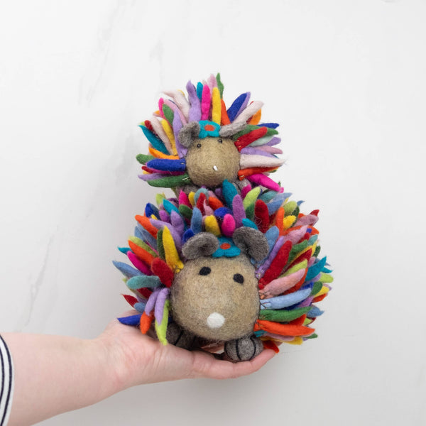 The Winding Road - Hedgehog Small Rainbow