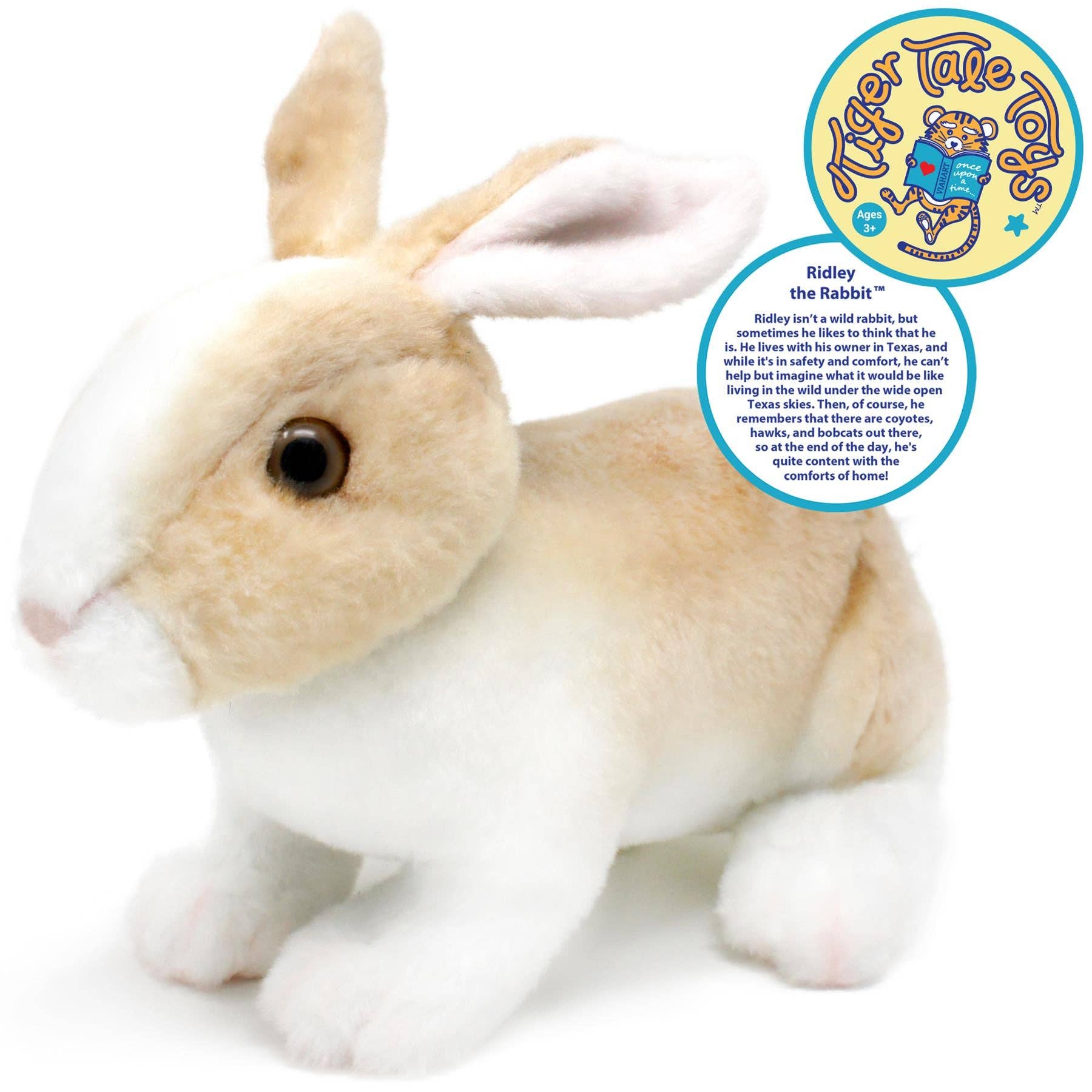 Ridley The Rabbit, 11 Inch Stuffed Animal Plush