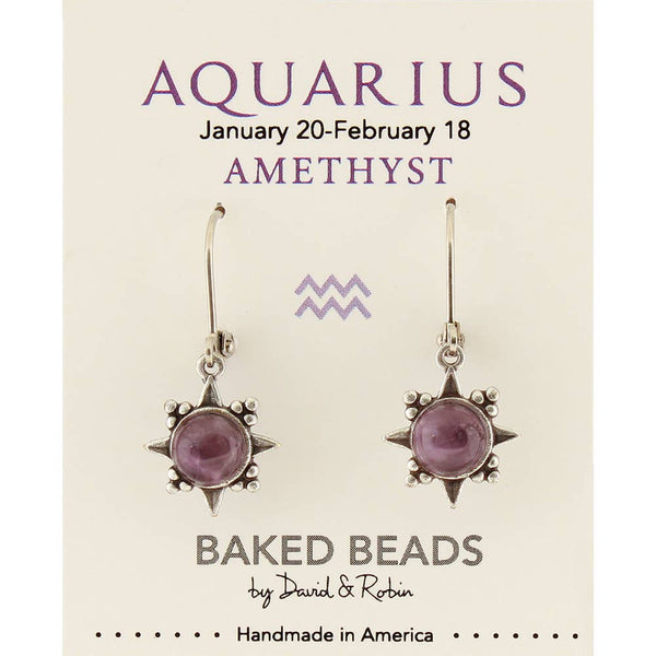 Zodiacstone Natural Stone Earring - Aquarius/Amethyst