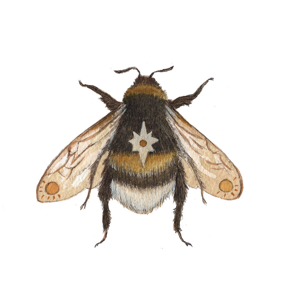 [Astral Series] Bee