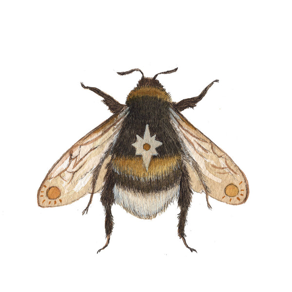 [Astral Series] Bee