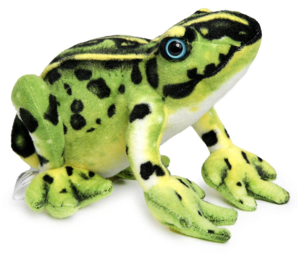 Frisco The Frog | 10 Inch Stuffed Animal Plush