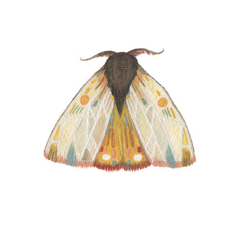 [Collector Series] Moth 9